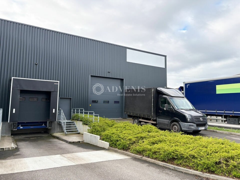 Location Entrepôts MOLSHEIM (67120) - Photo 1