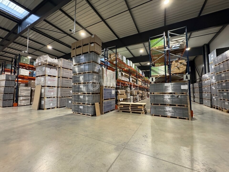 Location Entrepôts MOLSHEIM (67120) - Photo 3