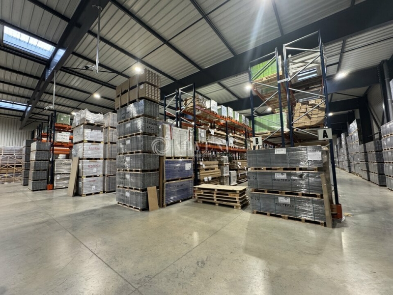 Location Entrepôts MOLSHEIM (67120) - Photo 5