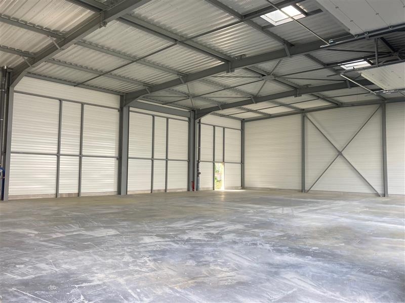 Location Activités Entrepôts MUNDOLSHEIM (67450) - Photo 4