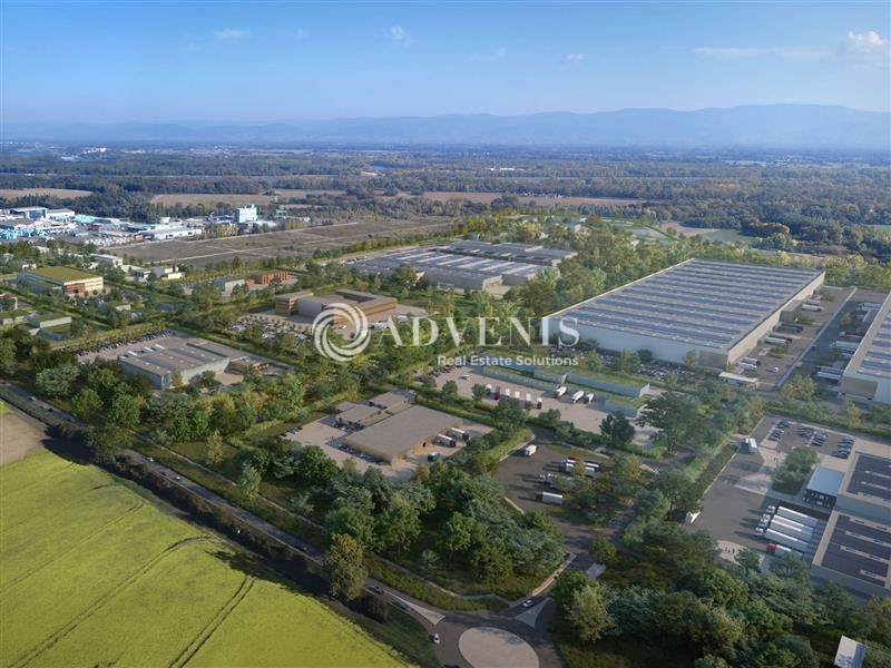 Vente Utilisateur Terrain DRUSENHEIM (67410) - Photo 4