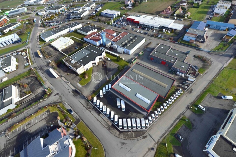Location Activités Entrepôts SELESTAT (67600) - Photo 5