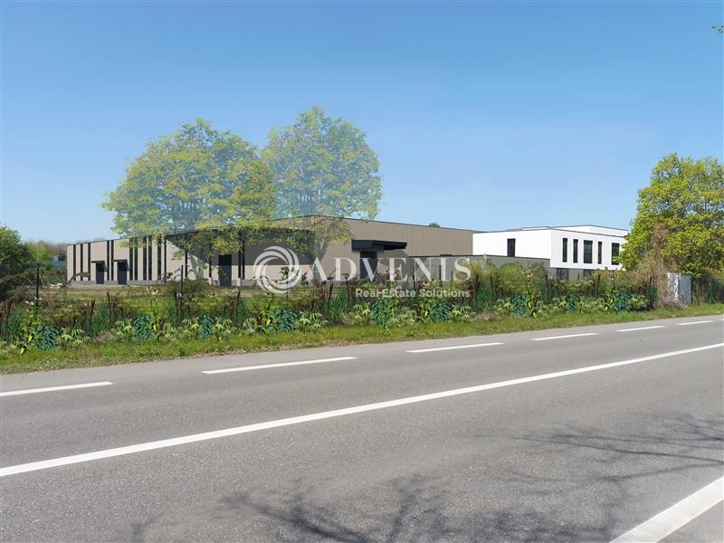 Vente Utilisateur Activités Entrepôts GEISPOLSHEIM (67118) - Photo 3