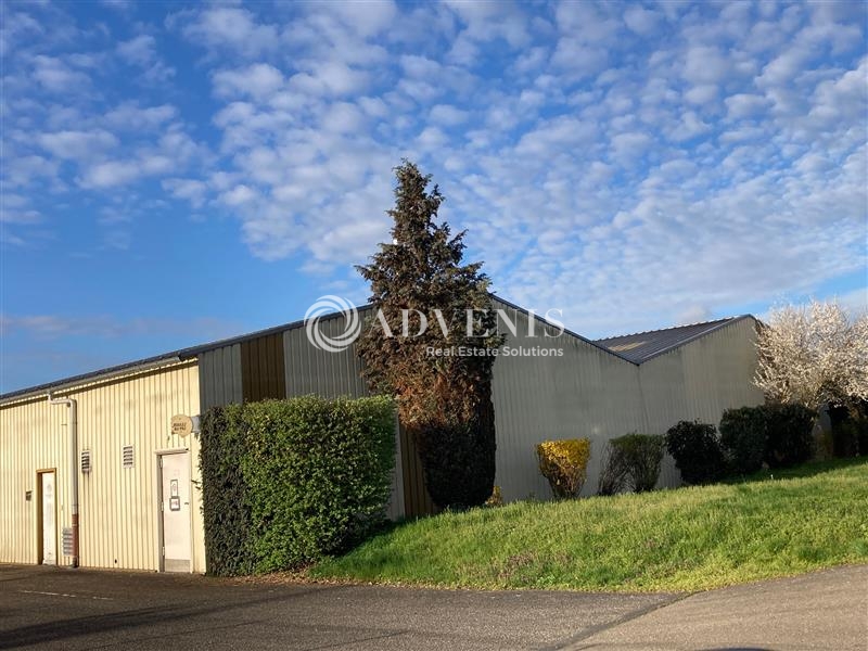 Vente Utilisateur Activités Entrepôts DUTTLENHEIM (67120) - Photo 2