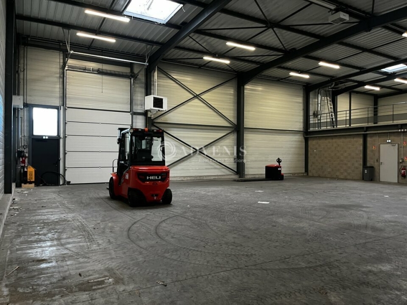 Location Activités Entrepôts WEYERSHEIM (67720) - Photo 5