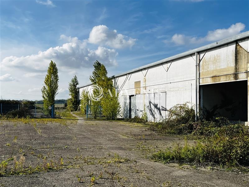 Location Activités Entrepôts FEGERSHEIM (67640) - Photo 2