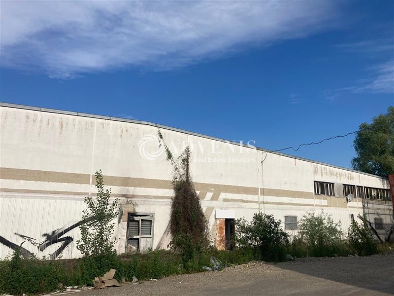 Location Activités Entrepôts FEGERSHEIM (67640) - Photo 3