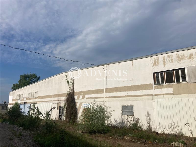 Location Activités Entrepôts FEGERSHEIM (67640) - Photo 4