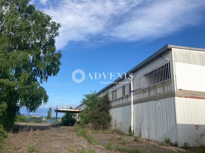 Location Activités Entrepôts FEGERSHEIM (67640) - Photo 6