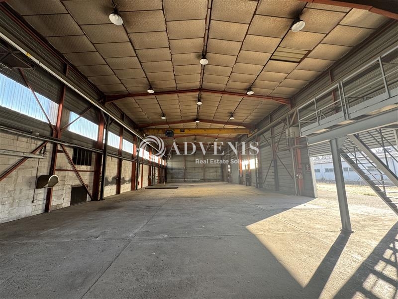 Vente Utilisateur Activités Entrepôts ILLKIRCH GRAFFENSTADEN (67400) - Photo 2
