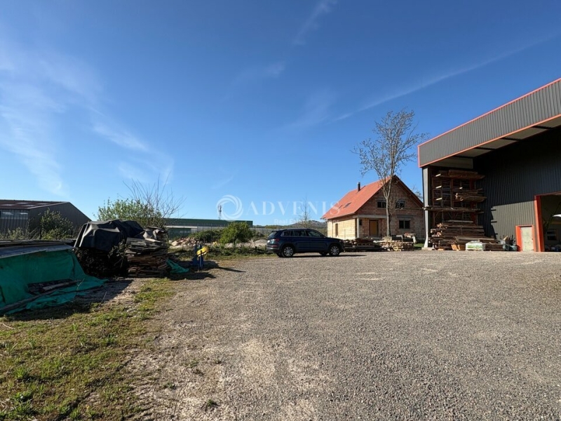 Location Activités Entrepôts BERNARDSWILLER (67210) - Photo 3