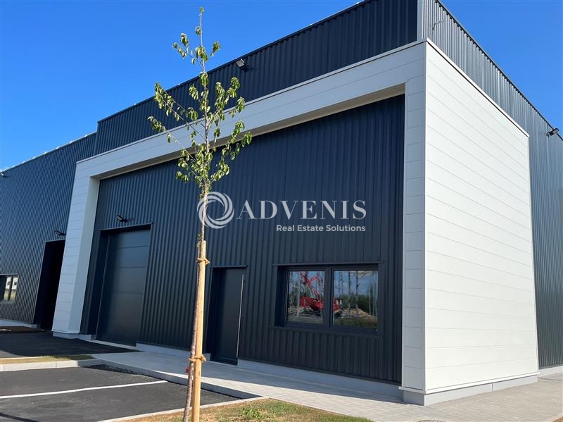 Vente Utilisateur Activités Entrepôts GOXWILLER (67210) - Photo 1