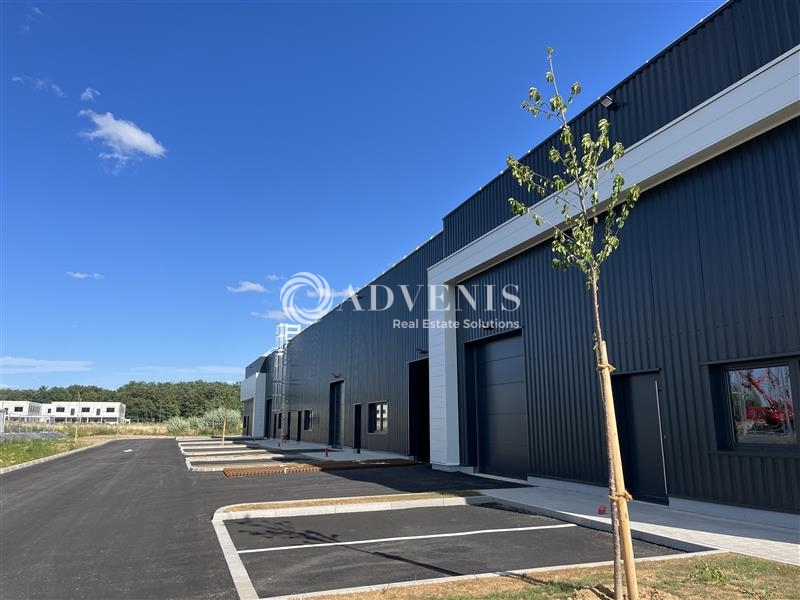 Vente Utilisateur Activités Entrepôts GOXWILLER (67210) - Photo 2