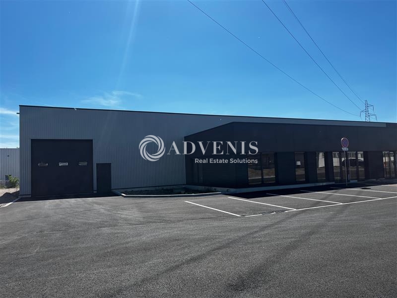 Location Activités Entrepôts GEISPOLSHEIM (67118) - Photo 2