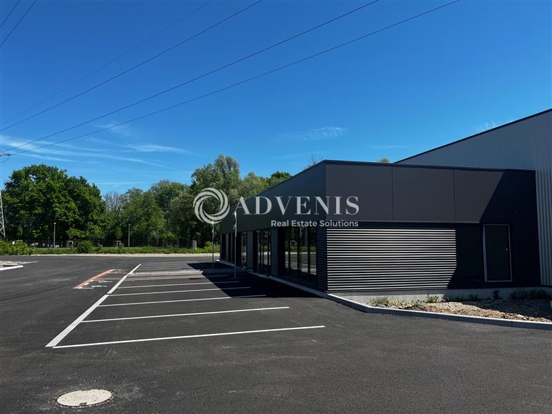 Location Activités Entrepôts GEISPOLSHEIM (67118) - Photo 4