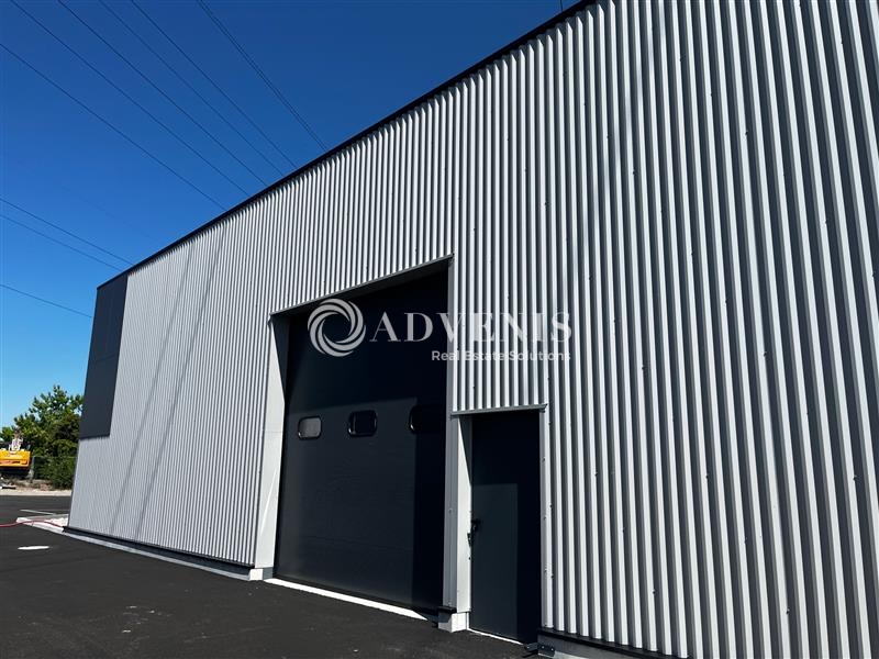 Location Activités Entrepôts GEISPOLSHEIM (67118) - Photo 6