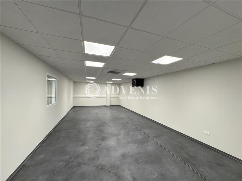 Location Activités Entrepôts BRUMATH (67170) - Photo 3