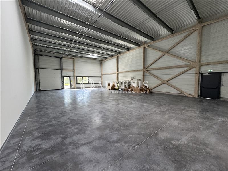 Location Activités Entrepôts BRUMATH (67170) - Photo 4