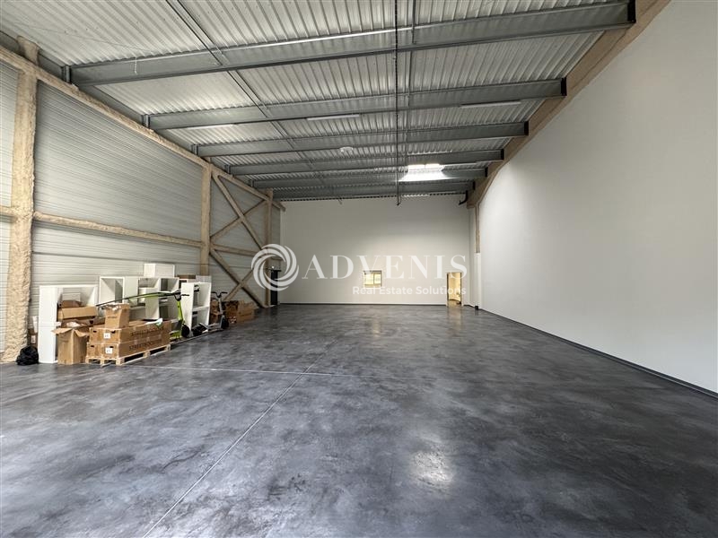 Location Activités Entrepôts BRUMATH (67170) - Photo 6