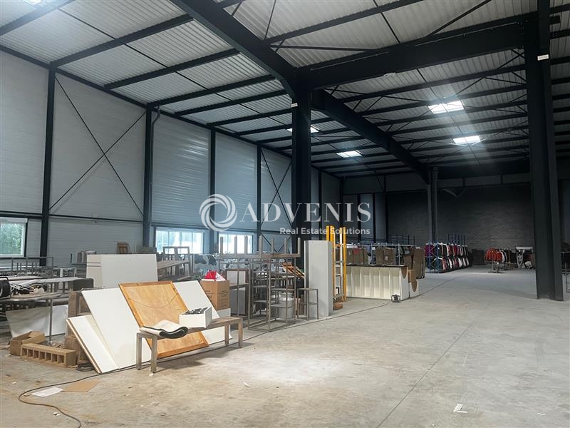 Location Entrepôts ECKBOLSHEIM (67201) - Photo 6