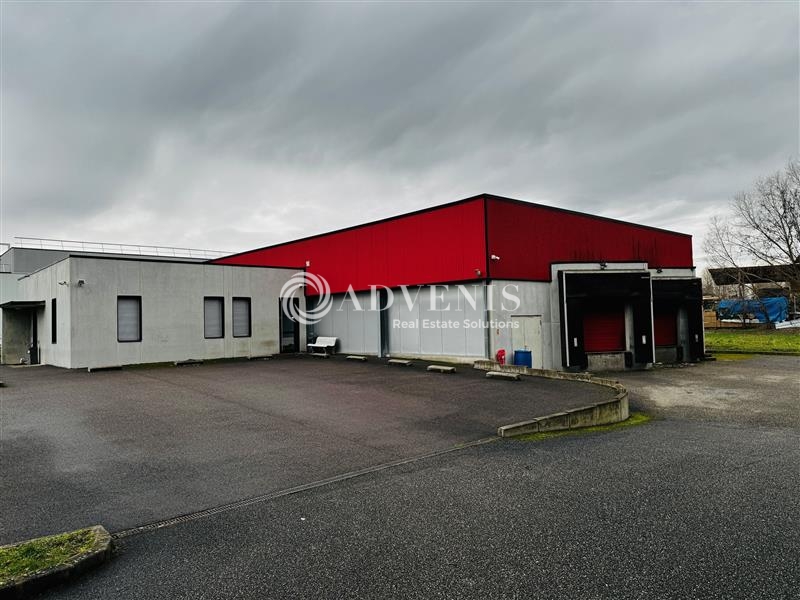 Location Activités Entrepôts HOERDT (67720) - Photo 1