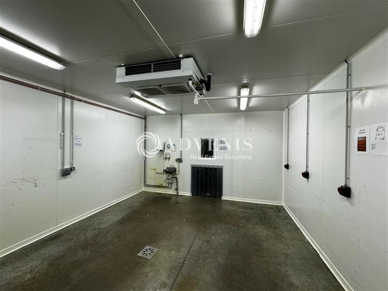 Location Activités Entrepôts HOERDT (67720) - Photo 4
