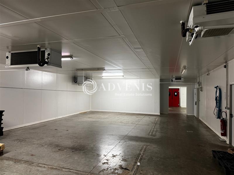 Location Activités Entrepôts HOERDT (67720) - Photo 5