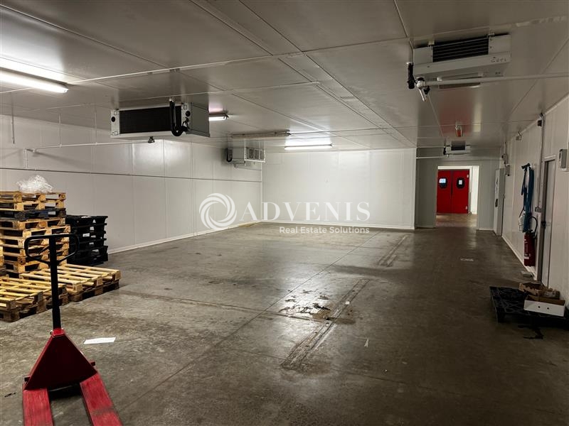 Location Activités Entrepôts HOERDT (67720) - Photo 6