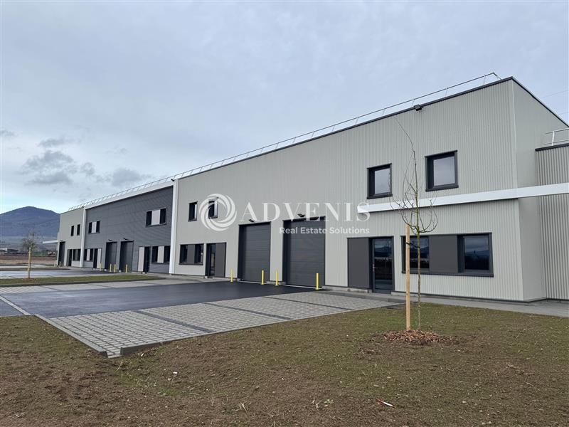 Vente Utilisateur Activités Entrepôts BERGHEIM (68750) - Photo 1