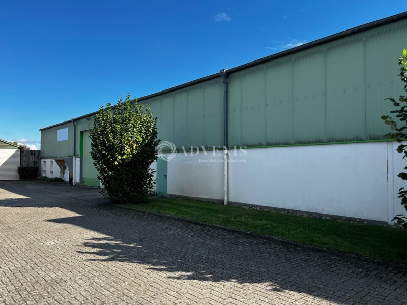 Location Activités Entrepôts BISCHOFFSHEIM (67870) - Photo 2