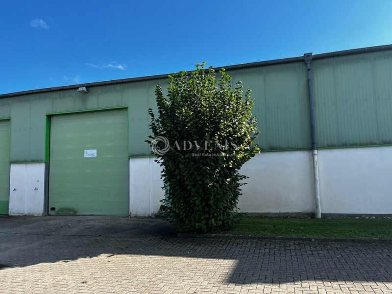 Location Activités Entrepôts BISCHOFFSHEIM (67870) - Photo 3