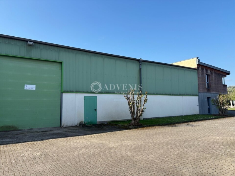 Location Activités Entrepôts BISCHOFFSHEIM (67870) - Photo 8