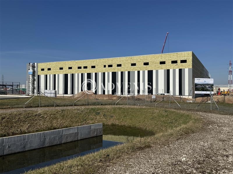Location Entrepôts DUPPIGHEIM (67120) - Photo 1