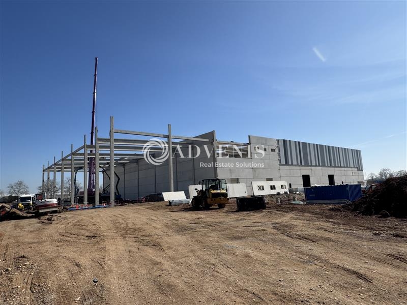 Location Entrepôts DUPPIGHEIM (67120) - Photo 2