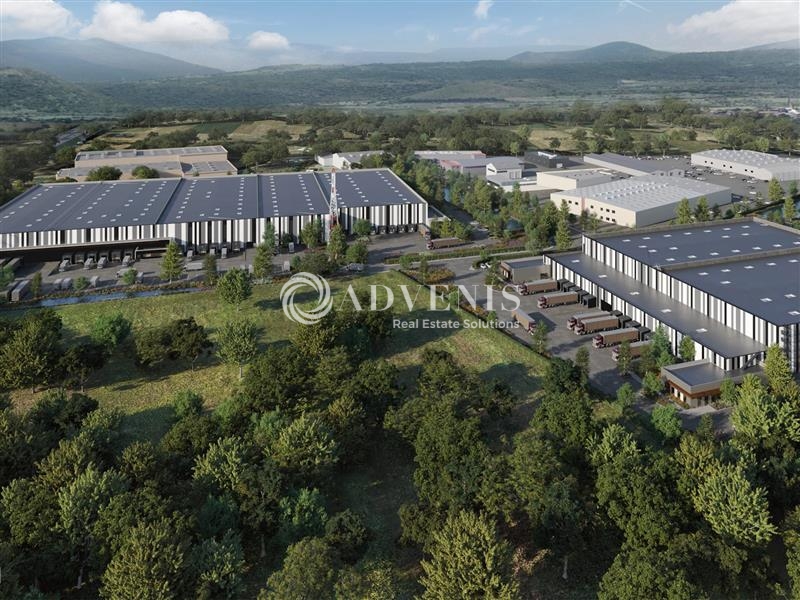Location Entrepôts DUPPIGHEIM (67120) - Photo 3