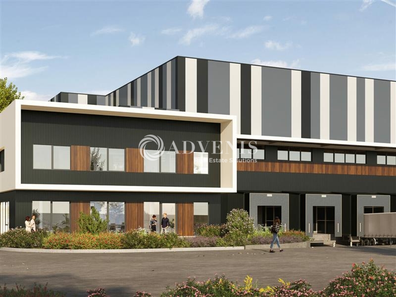 Location Entrepôts DUPPIGHEIM (67120) - Photo 4