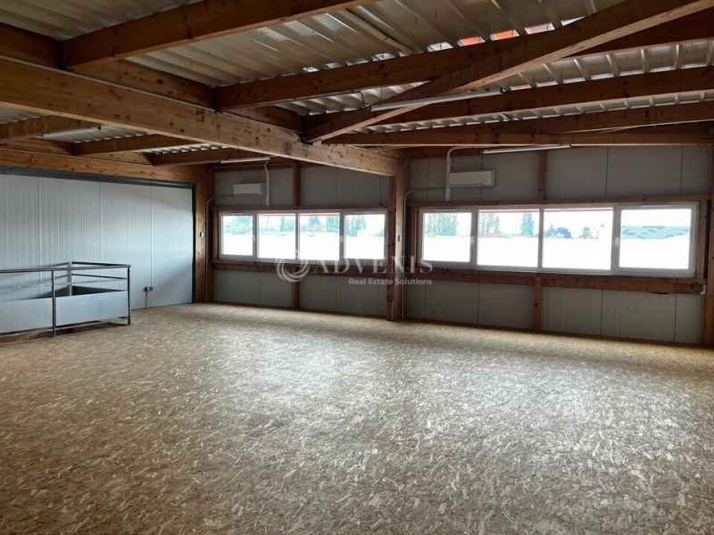 Location Activités Entrepôts SCHILTIGHEIM (67300) - Photo 6
