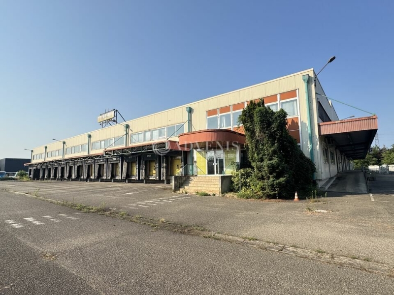 Vente Investisseur Entrepôts ILLKIRCH GRAFFENSTADEN (67400) - Photo 1