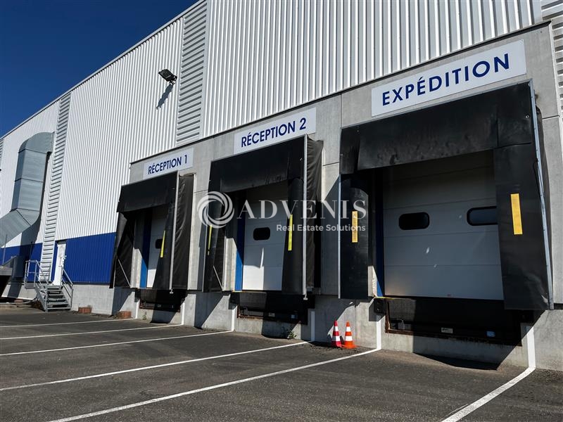 Location Activités Entrepôts OSTWALD (67540) - Photo 1