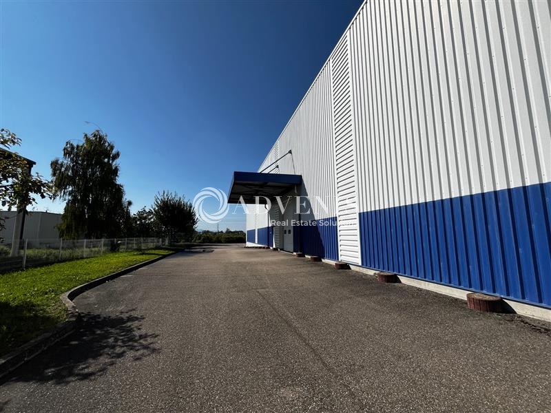 Location Activités Entrepôts OSTWALD (67540) - Photo 2