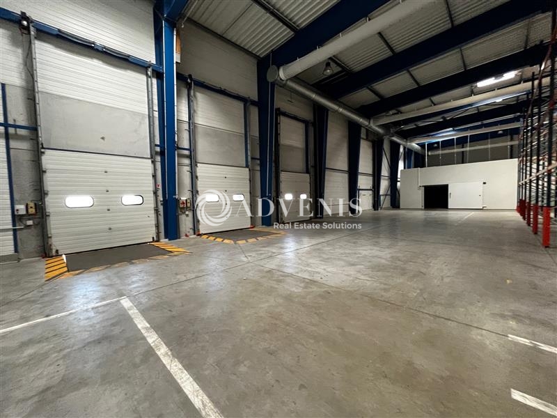 Location Activités Entrepôts OSTWALD (67540) - Photo 4