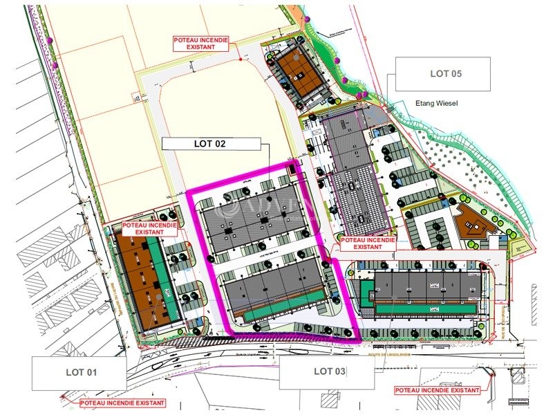 Vente Utilisateur Activités Entrepôts GEISPOLSHEIM (67118) - Photo 6