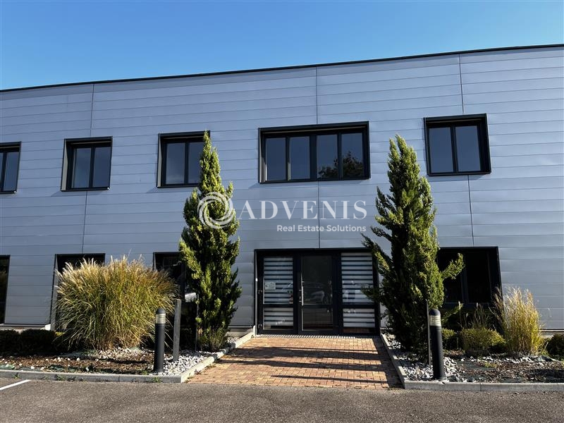 Location Activités Entrepôts ERNOLSHEIM BRUCHE (67120) - Photo 2