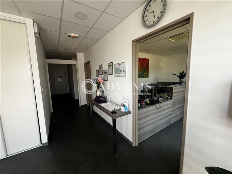 Location Activités Entrepôts ERNOLSHEIM BRUCHE (67120) - Photo 4