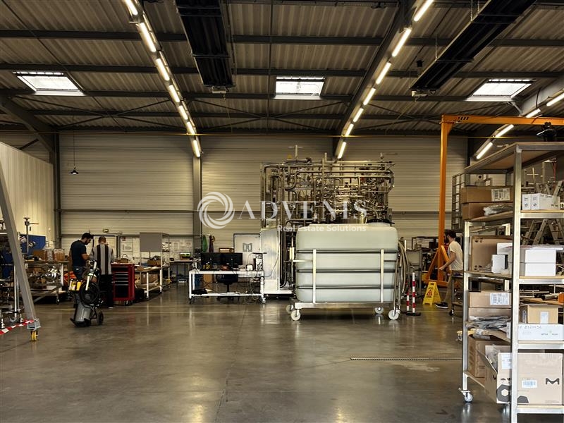 Location Activités Entrepôts ERNOLSHEIM BRUCHE (67120) - Photo 5