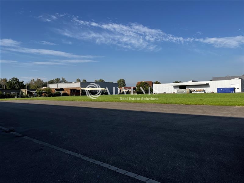 Location Activités Entrepôts ERNOLSHEIM BRUCHE (67120) - Photo 7