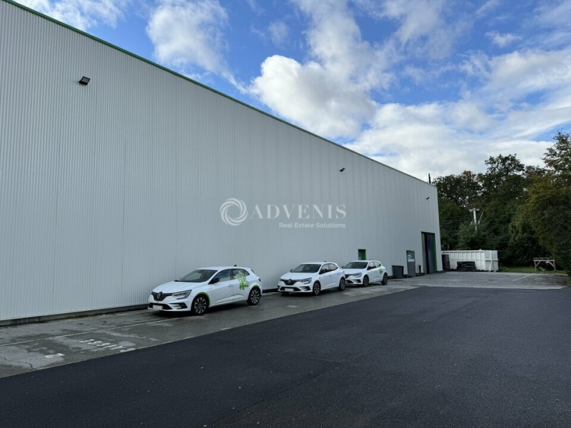 Location Bureaux et activités légères BRUMATH (67170) - Photo 4