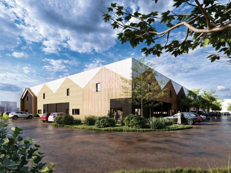 Vente Investisseur Activités Entrepôts SOUFFLENHEIM (67620) - Photo 1