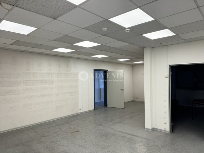 Location Activités Entrepôts SOUFFELWEYERSHEIM (67460) - Photo 7