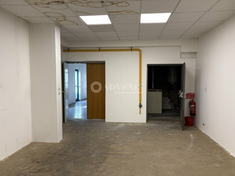 Location Activités Entrepôts SOUFFELWEYERSHEIM (67460) - Photo 8